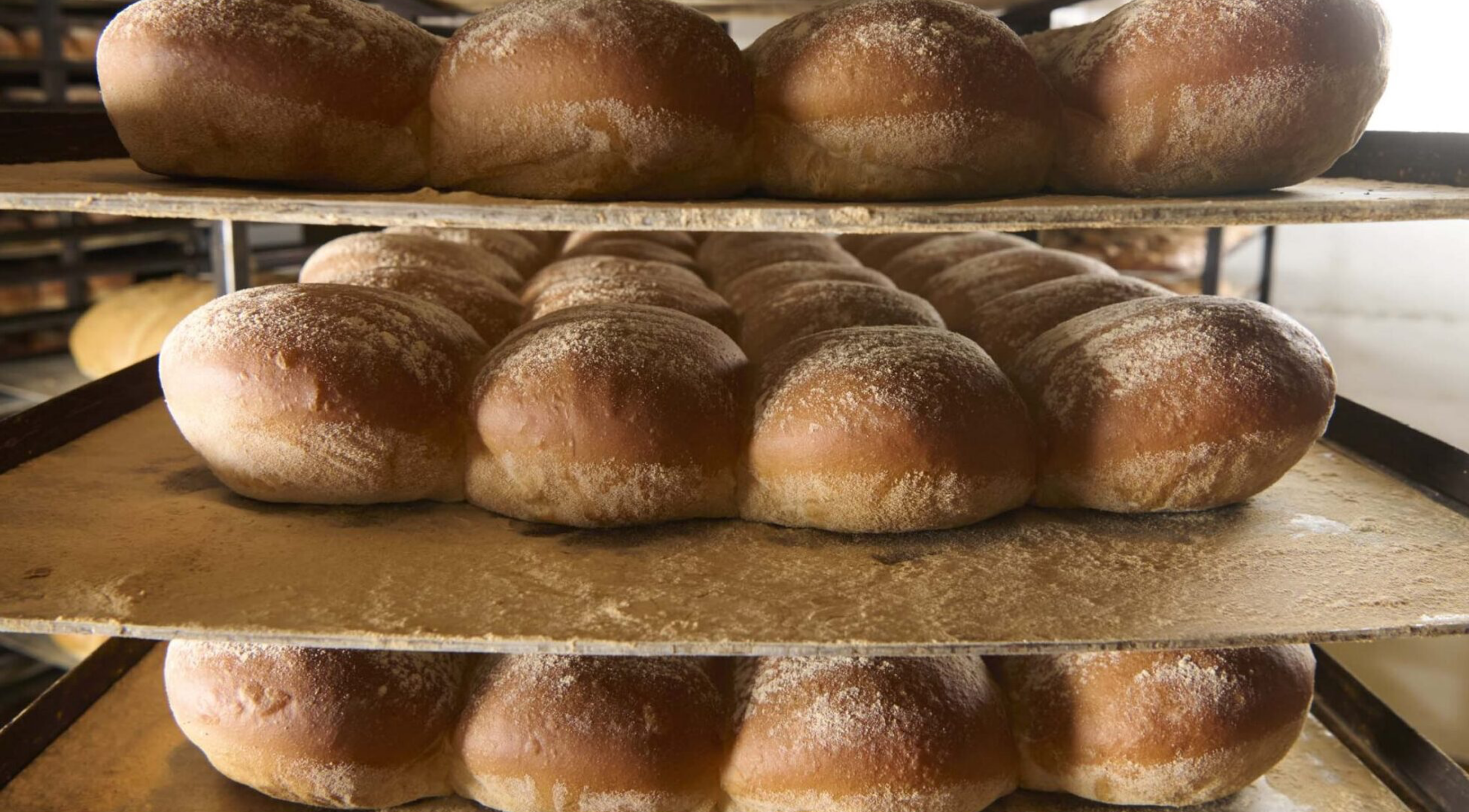 Bakery